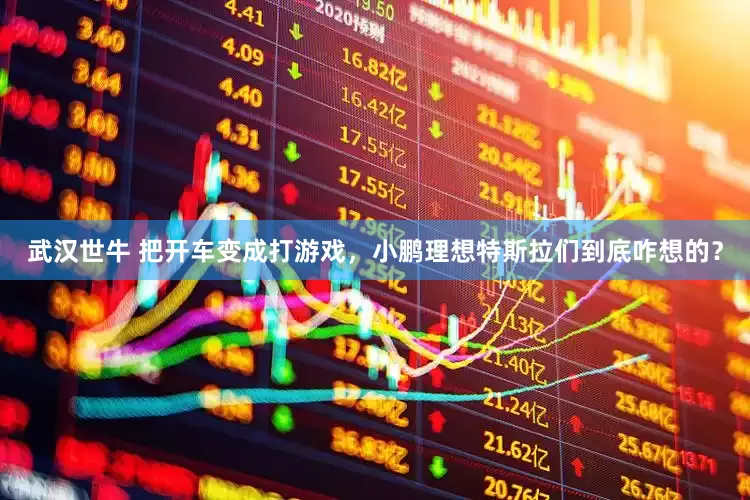武汉世牛 把开车变成打游戏，小鹏理想特斯拉们到底咋想的？
