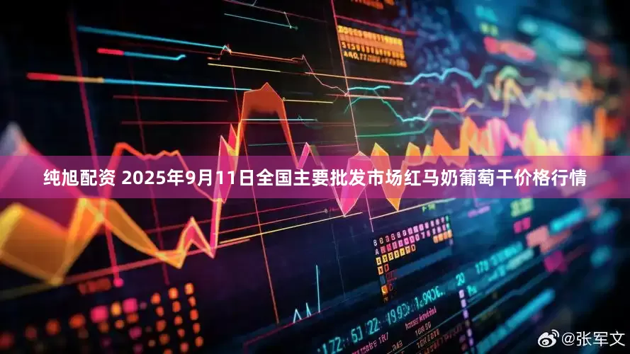 纯旭配资 2025年9月11日全国主要批发市场红马奶葡萄干价格行情