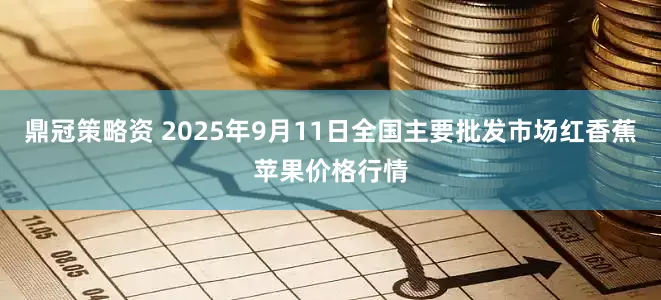 鼎冠策略资 2025年9月11日全国主要批发市场红香蕉苹果价格行情