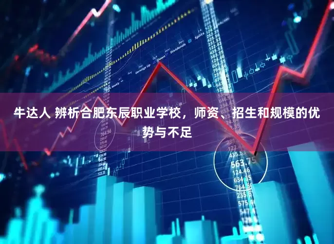 牛达人 辨析合肥东辰职业学校，师资、招生和规模的优势与不足
